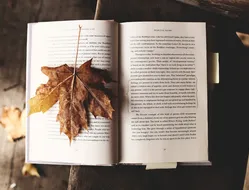 header image 2